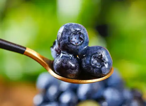 Guide to Importing Bulk Pterostilbene Powder